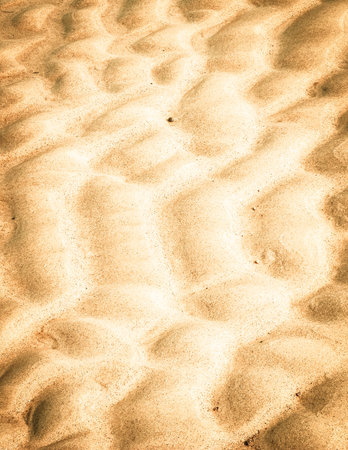 Sea shore as nature background. copy space.