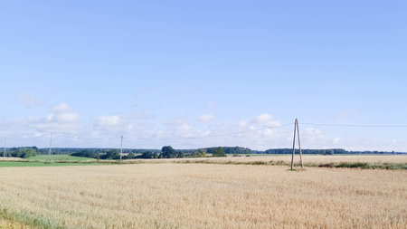 Kashubian field in late summer. Agriculture in northern Poland.の写真素材