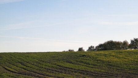 Green field on a background of blue sky. Copy space on blue sky. Sunny autumn day. Nature of Poland.の写真素材