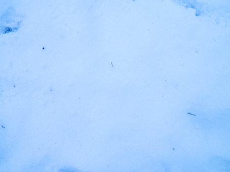 Fresh snow as nature background. Copy space.の写真素材