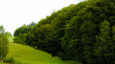 Green hills and forest - landscape of Kashubian Region, Poland. Travel and nature concept.の写真素材