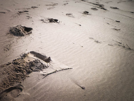 Travelers footstep on beach or desert. Natural background.の写真素材