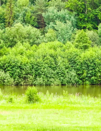 Little pond in front of forest. Beauty of summer nature in Kashubia region. Northern Poland.の写真素材