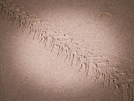 Tire track on sand of desert or beach. Natural background. Offroad and traveling concept.の写真素材