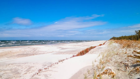 Baltic sea coast in winter. Beach and sand dunes.の写真素材