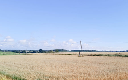 Kashubian field in late summer. Agriculture in northern Poland.の写真素材