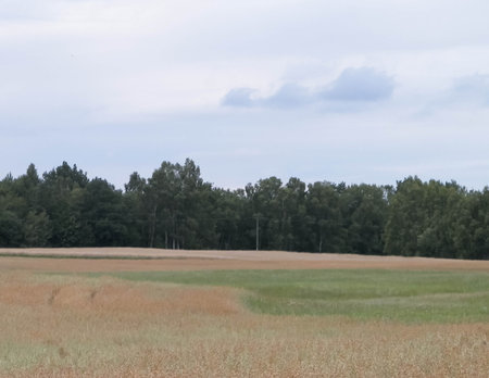 Clouds over field in Kashubia. Incoming rain.の写真素材