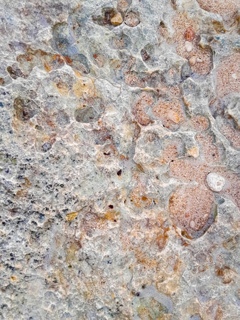 Coastal rocks and sea water as a natural background. Copy space.の写真素材