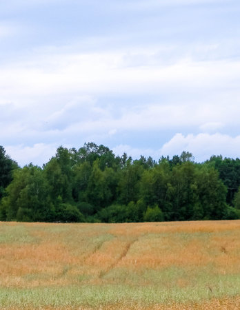 Clouds over field in Kashubia. Incoming rain.の写真素材