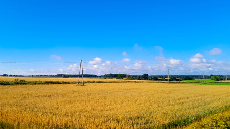Kashubian field in late summer. Agriculture in northern Poland.の写真素材