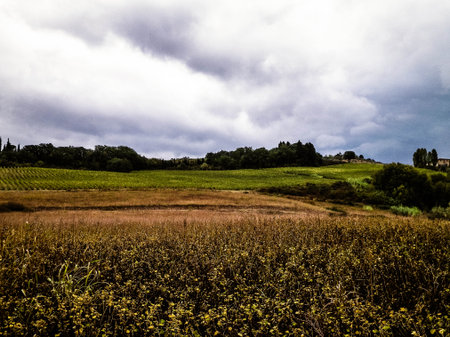 Autumn in Italy - Tuscan fields and hills on a cloudy day. Copy space on cloudy sky.の写真素材