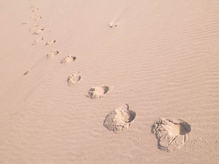 Step prints on sand of beach or desert.の写真素材
