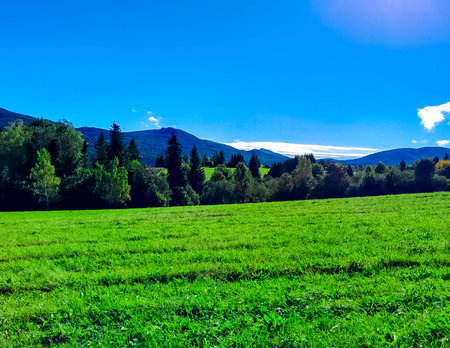 Beautiful view of the Polish Bieszczady Mountains on a sunny day. Discovering the beauty of the Carpathians.の写真素材