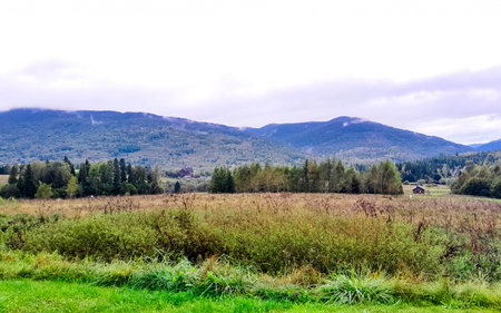 Beautiful view of the Polish Bieszczady Mountains. Discovering the beauty of the Carpathians.の写真素材