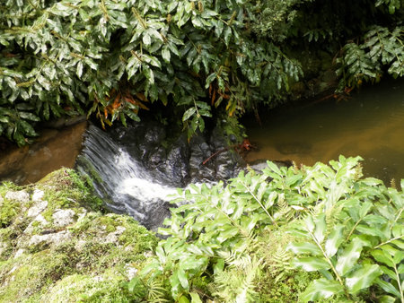 Little waterfall at Botanical Garden of Ribeira do Guilherme, Sの写真素材