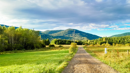 Beautiful view of the Polish Bieszczady Mountains on a sunny day. Discovering the beauty of the Carpathians.の写真素材