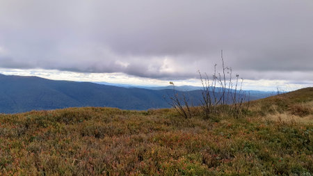 Landscape of Bieszczady Mountains which is the northern part of Carpatian Mountains. Beauty of nature.の写真素材