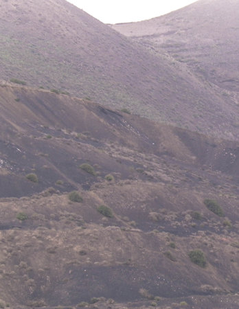 Mountain landscape of the north part of Lanzarote island. Beautiful, wild, tropical nature of Lanzarote island. Wild flora and exploration concept.の写真素材