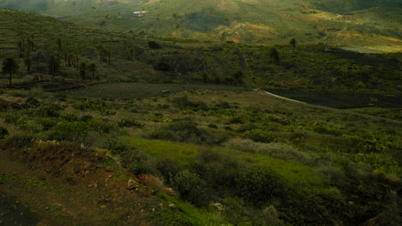 Mountain landscape of the north part of Lanzarote island. Beautiful, wild, tropical nature of Lanzarote island. Wild flora and exploration concept.の写真素材