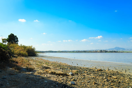 Lake Larnaca ob Cyprus. Salt lake near city of Larnaca. Natural habitat of flamingo birds.の写真素材