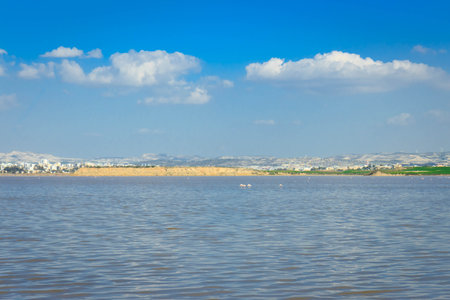 Lake Larnaca ob Cyprus. Salt lake near city of Larnaca. Natural habitat of flamingo birds.