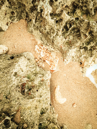 Coastal rocks and sea water as a natural background. Copy space.