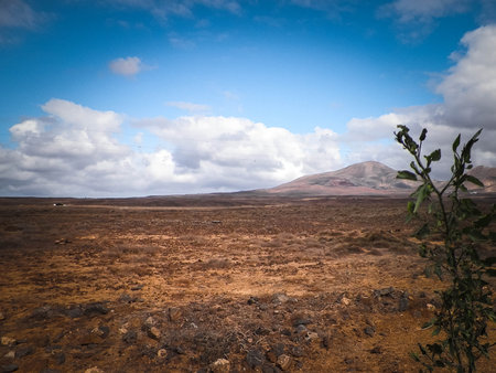 Desert on Lanzarote Island. Pure nature of the Canarian archipelago.の写真素材