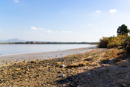 Lake Larnaca ob Cyprus. Salt lake near city of Larnaca. Natural habitat of flamingo birds.の写真素材