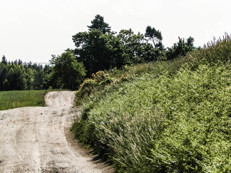 A journey through the Kashubian village. Kashubian region is in north part of Poland. Agriculture and nature concept.の写真素材