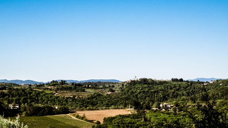 Hills, meadows and vineyards, Tuscan village landscape in sunny day. Nature and agriculture concept. Holidays in Italy. Copy space.の写真素材