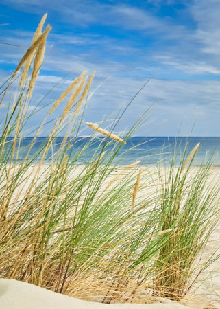 Baltic sea in summer season. Breathtaking nature of northern Poland.の写真素材