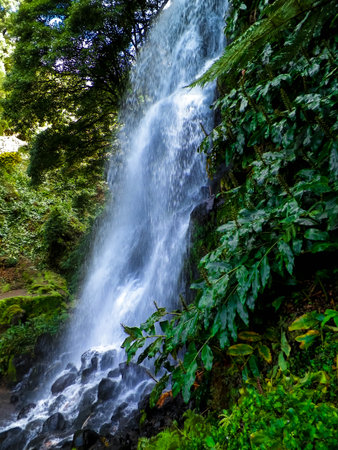 Amazing waterfall on Azores. Sao Miguel Island. Beauty of nature.