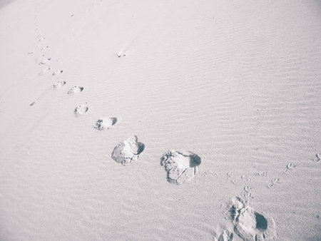 Step prints on sand of beach or desert.