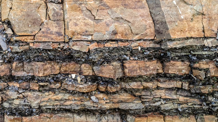 Rocky wall as natural background. Copy space.