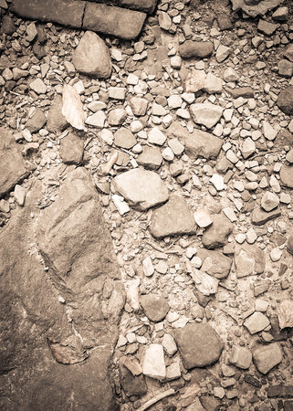 Ground and rocks as natural background. BW filter toned. Copy space.