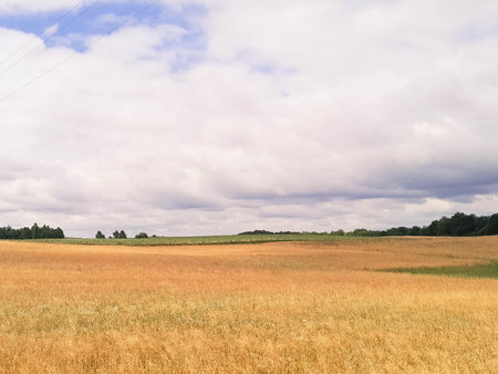Dark clouds over meadow. Rainy weather coming. Beautiful nature of northern Poland.の写真素材