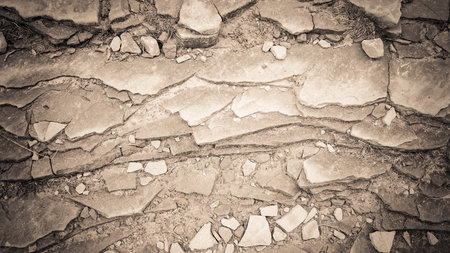 Rocks on ground as nature background. Copy space.