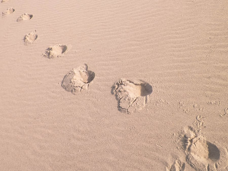 Step prints on sand of beach or desert.の写真素材