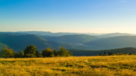 Meadow on a Blotnia Mountain. Beskides in Poland.の写真素材