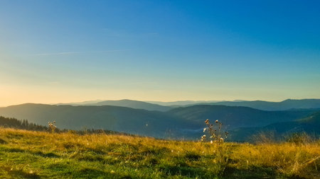 Meadow on a Blotnia Mountain. Beskides in Poland.