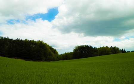 Green fields and hills in Wiezyca, Kashubian Region. Wiezyca is a touristic area in Polandの写真素材