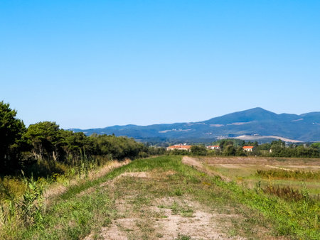 Tuscany, view of meadow and Apennines in the background. Summer in Tuscany, Italy.の写真素材