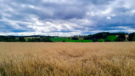 Dark clouds over meadow in Kashubia. Rainy weather coming. Beautiful nature of northern Poland.
