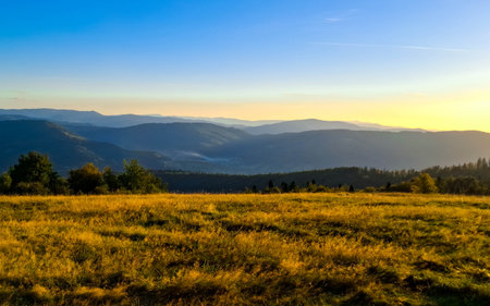 Meadow on a Blotnia Mountain. Beskides in Poland.の写真素材