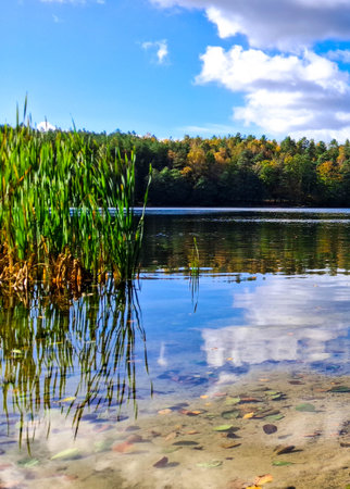 Lake Zawiad shore in Kashubia. Amazing nature of northern Poland.の写真素材
