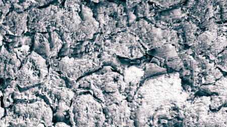 Close up of tree bark as a natural background. Copy space.