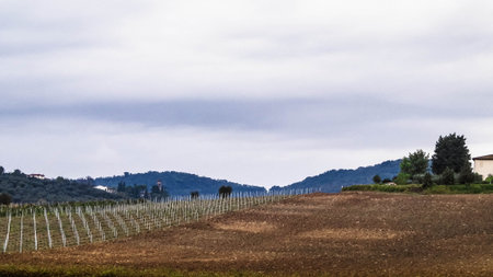 Autumn season. October in Tuscany. Agriculture and travel concept.の写真素材