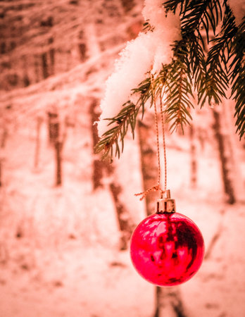 Red christmass balls on spruce tree branch. Copy space on blured background.の写真素材