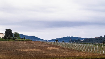 Autumn season. October in Tuscany. Agriculture and travel concept.の写真素材