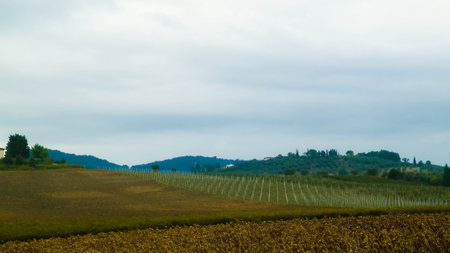 Autumn season. October in Tuscany. Agriculture and travel concept.の写真素材